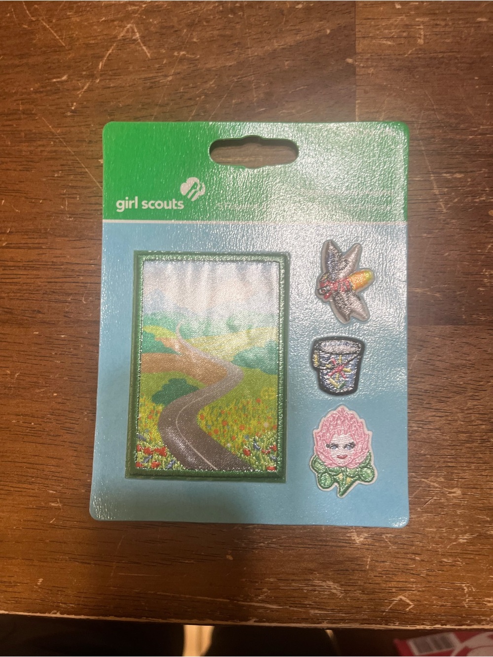 10 Daisy Girl Scouts Journey Patches.